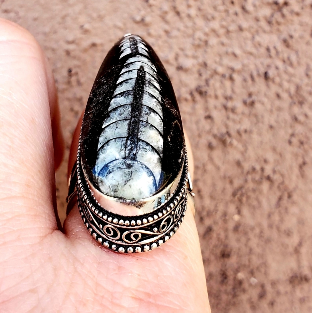 New Huge Orthoceras Fossil 925 Silver Ring. - Picture 3 of 16